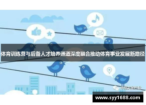 体育训练营与后备人才培养通道深度融合推动体育事业发展新路径